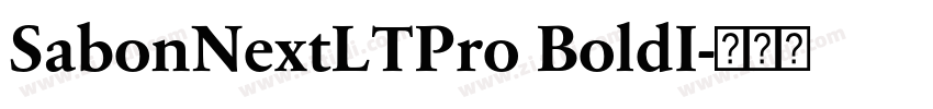SabonNextLTPro BoldI字体转换
